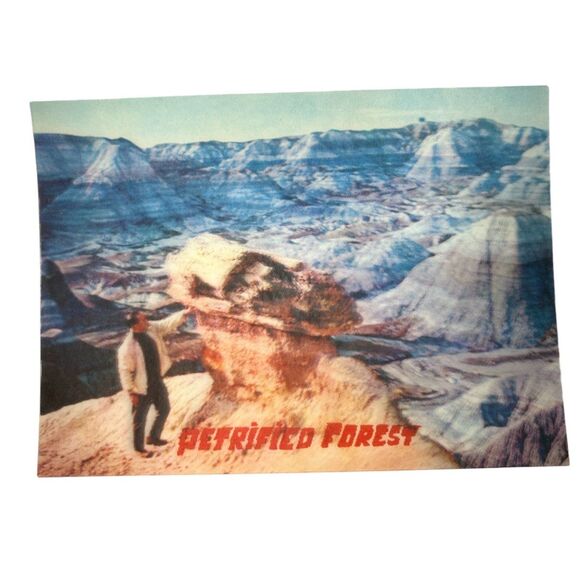 Vintage postcard Holographic Petrified Forest National Park Arizona Petley - Picture 1 of 8